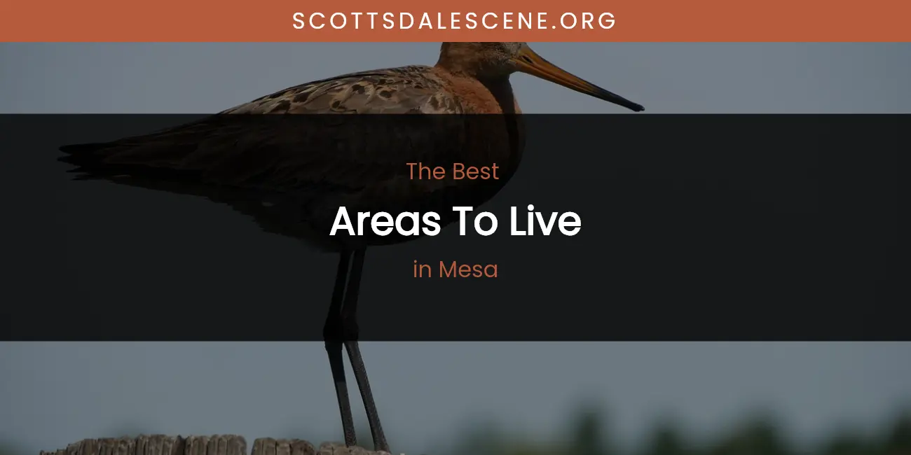 Mesa's Best Areas to Live featured