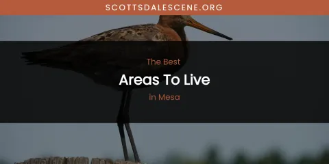Mesa's Best Areas to Live