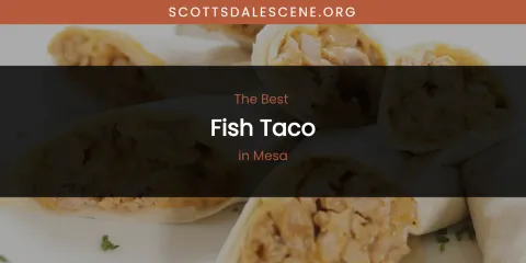 Guide to Best Fish Taco in Mesa