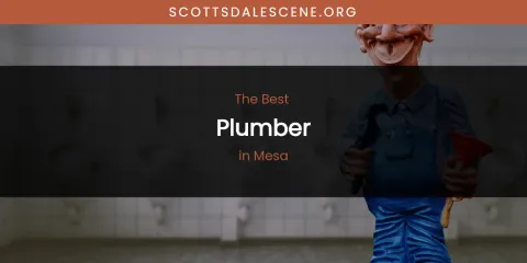 Discover the Best Plumber in Mesa