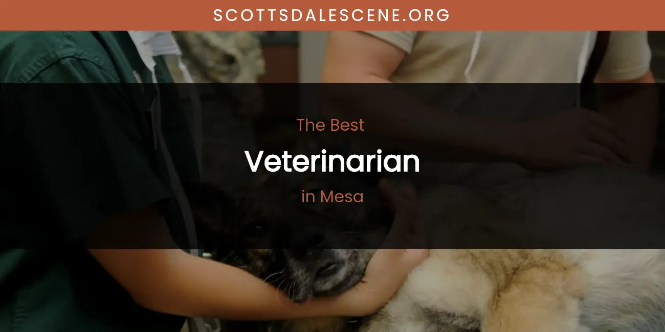 Mesa's Best Veterinarian featured