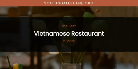 Mesa's Best Vietnamese Restaurant